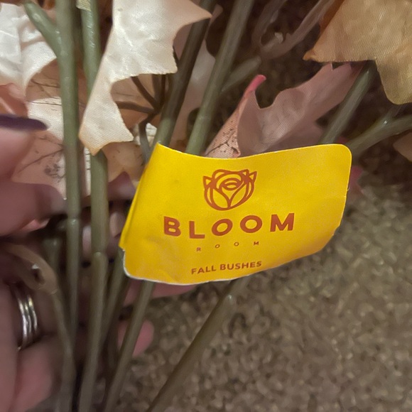 Fall Bushes - Picture 3 of 3